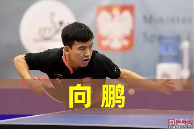 的判定层级 的判定层级